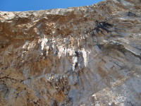 SNV80451.JPG